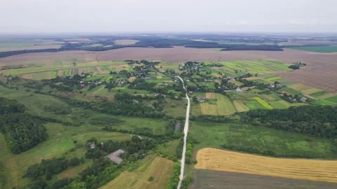 Aerial above view of fields and village house land, cars driving on the road Vídeo Stock 165668836