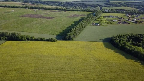 Aerial above view of spring rapeseed flower field canola Stock Footage 112718092