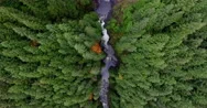 Aerial Above Waterfalls And River Rapids Deep Forested Landscape Stock Footage