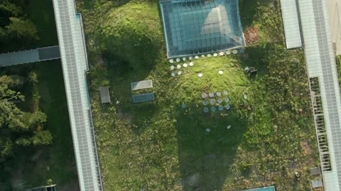 Aerial: Academy of Sciences in Golden Gate Park, San Francisco, USA Stock Footage 160925455