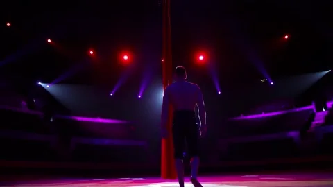 Aerial acrobat performance in the circus Video stock 146960736