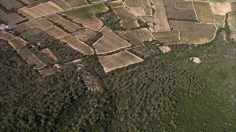Aerial of agricultural fields, Field Patterns Vertical Look-Down Stock Footage 108593427