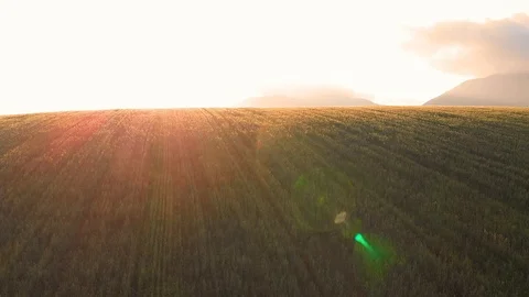 Aerial agricultural landscape and mountains behind during the sunset Stock Footage