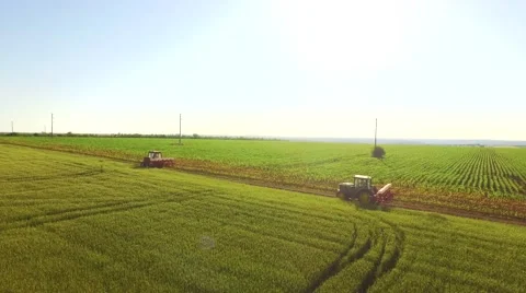 Aerial Agriculture Field Shot Tractor Passing Summer Cornfield Healthy Food Stock Footage