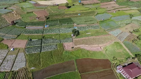 Aerial - Agriculture Fields and Marapi Mountain Stock Footage 123895676