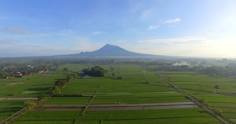 Aerial agriculture in rice fields Merapi mountain view in the morning Stock Footage 129596582