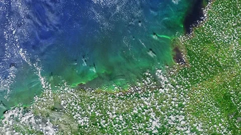 Aerial of algae bloom off the Florida gulf coast. 4k Video stock 157598143