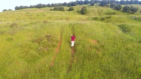 Aerial alone man in green fields Video stock 196936584