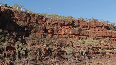 Aerial: amazing red cliffs deep in the Northern Territory with palms, Outback 스톡 동영상 114423628