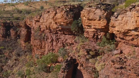 Aerial: amazing red cliffs deep in the Northern Territory with palms, Outback Vídeos de archivo 114423696