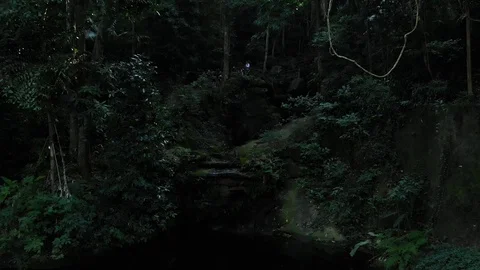 Aerial Amazon Jungle Video stock 113733713