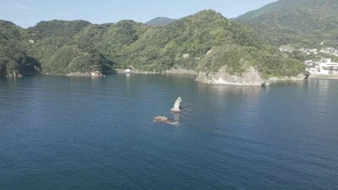 Aerial Approach To White Sea Stack With Mountain Coastline At Otago Beach, Japan Stock Footage 346802472