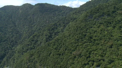 Aerial approaching a rainforest mountain side and top Stock Footage 648027
