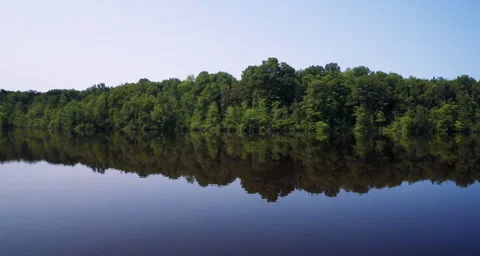 Aerial approaching trees lining the water Stock Footage 54711144