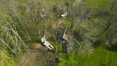 Aerial Arborist Cutting Dead Tree Branches with a Chainsaw from a Bucket Truck 스톡 동영상 337429758