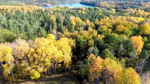Aerial arc view of autumn trees at Hellasgården, Nacka, Sweden on fall day Video stock 287942998