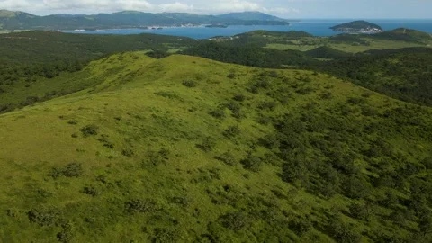 Aerial, Around, Mountains Range, Ocean, Summer, Clear, Deciduous Forest, Sunny Stock Footage 163097062
