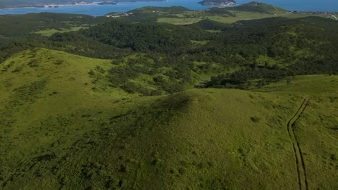 Aerial, Around, Mountains Range, Ocean, Summer, Deciduous Forest, Road Stock Footage 163097388