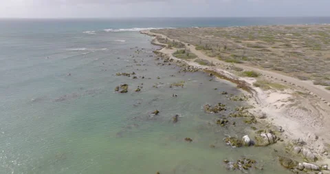 Aerial Aruba Beach Path next to Arashi Dunes Stock Footage 186318939