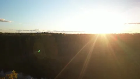 Aerial ascending look through pine trees at sunset in Muskoka Lake in Canada Stock Footage 318628825