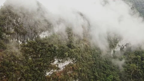 An aerial ascending shot of the fast clouds, moving above the rainforest at the Stock Footage 201414704
