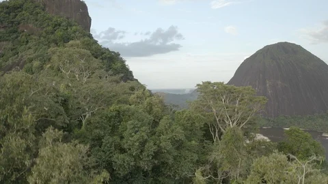 Aerial ascends from between trees to reveal the Cerros del Mavecure Vídeos de archivo 100738616