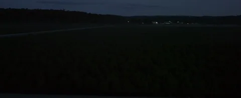 Aerial ascent pushing over a large hemp field in upstate New York Stock Footage 117383614