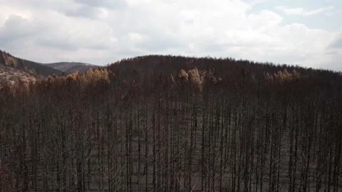 Aerial of ash-covered surface. Stock Footage 159602472