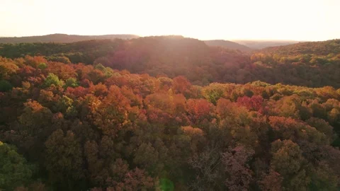Aerial Autumn Breathtaking Forestry Fall Foliage Sunrise Lens Flares Stock Footage 256172177