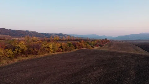 Aerial of autumn empty fields, mountains, trees during sunset Stock Footage 118315407