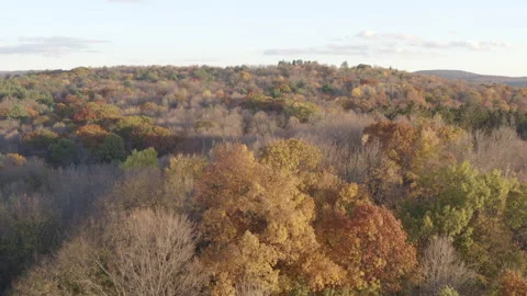 Aerial of Autumn Foliage with Shadows from Clouds Stockbeeldmateriaal 166328288