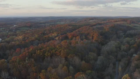 Aerial of Autumn Forest in Columbia County New York at Sunset Stockbeeldmateriaal 166328209
