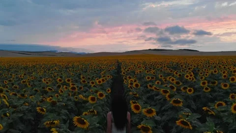 Aerial Back view tracking young caucasian girl runs down path in sunflower fi 動画素材 201661506