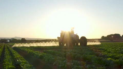 Aerial backlit view of a tractor spraying pesticide onto vegetable crops   Video stock 132689423