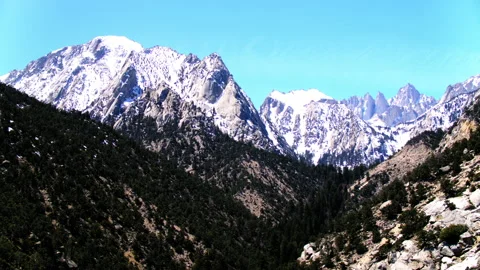 Aerial Backward Shot Of Snow Covered Mount Whitney, Drone Ascending Over Forest Stock Footage 237109135