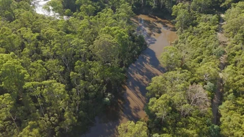 Aerial backwards flight over a winding river in a green forest Stock Footage 336362990