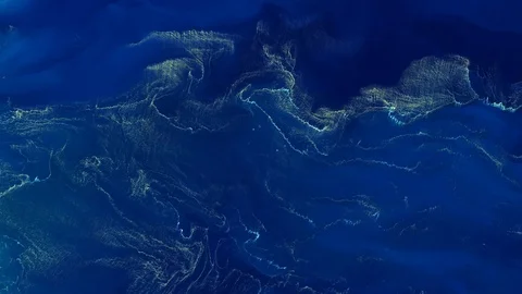 Aerial bacteria bloom, 4K Stock Footage 116445158