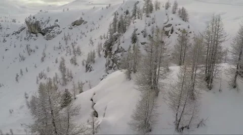 Aerial of bare trees on snowcapped mountain Stock Footage 64860894