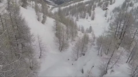 Aerial of bare trees on snowcapped mountain 스톡 동영상 64860895