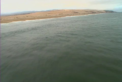 Aerial beach 02 Stock Footage 620688