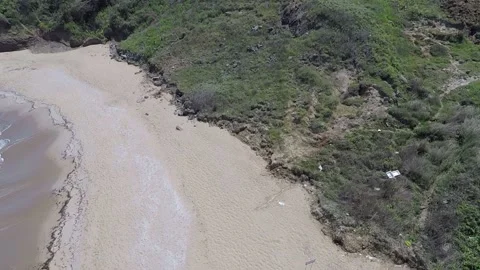 Aerial beach and greenery Stock Footage 194968331