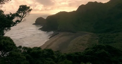Aerial: Beach and native forest in the Waitakere ranges at sunset, Whites Beach, Stock Footage 263535360
