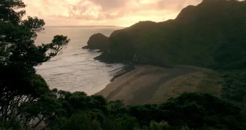 Aerial: Beach and native forest in the Waitakere ranges at sunset, Whites Beach, Stock Footage 263535908