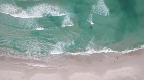 Aerial Beach and Waves Vertical Shot Stock Footage 65001093