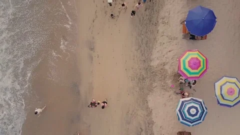 Aerial beach bird view Stock Footage 75248450