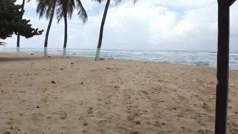Aerial Beach Fly Out through Palms | Caribbean Island Guadeloupe, France Stock Footage 142927455