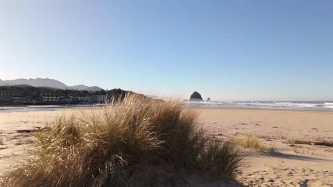 Aerial Beach Grass Reveal of Haystack Rock Stock Footage 300511902