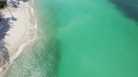 Aerial beach palm trees and water Thailand Stock Footage 201156331