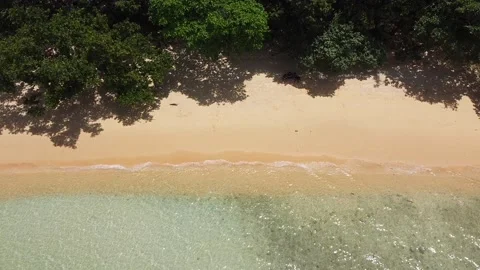 AERIAL BEACH SHOT 動画素材 234199399