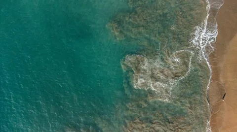 Aerial beach view Stock Photos